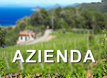 Azienda Agricola Zega